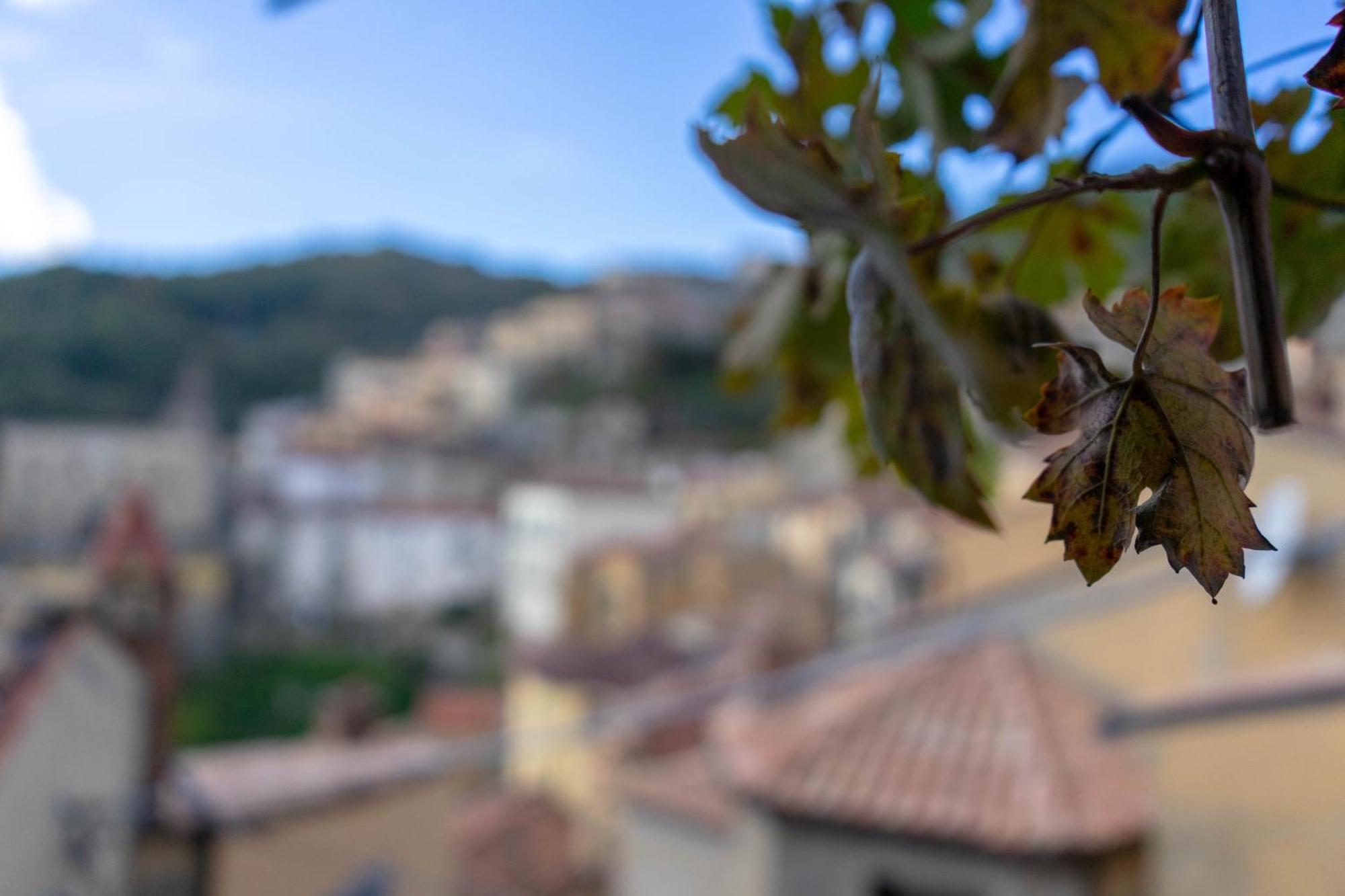 B&B Sud E Magia Castelmezzano Dış mekan fotoğraf